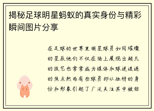 揭秘足球明星蚂蚁的真实身份与精彩瞬间图片分享
